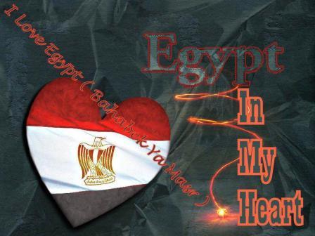 إرشادات ونصائح